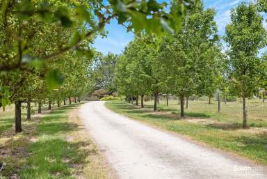 Farm For Sale - SA - The Range - 5172 - Character Farmhouse, Studio & Workmans Quarters on 44 ha  (Image 2)