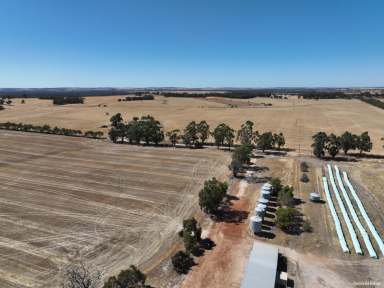 Farm For Sale - WA - Highbury - 6313 - "WEEWONDER" Prime Agricultural Property  (Image 2)