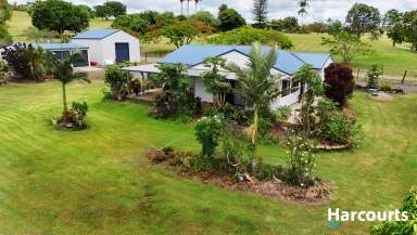 Farm For Sale - QLD - Childers - 4660 - GARDENERS OASIS  - 3 WATER SOURCES - LOW SET HOME  (Image 2)