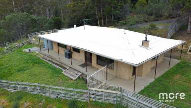 Farm For Sale - TAS - Collinsvale - 7012 - Private Acreage Property with all weather creek frontage  (Image 2)