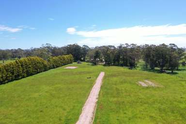 Farm For Sale - TAS - Smithton - 7330 - Attention Prime Building Blocks Opportunity in Smithton!  (Image 2)