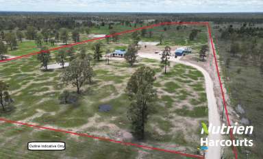 Farm For Sale - QLD - Tara - 4421 - Awesome Little Acreage  (Image 2)