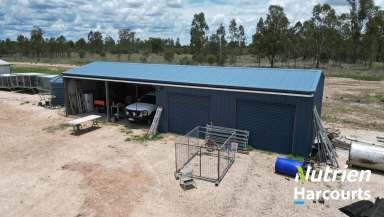 Farm For Sale - QLD - Tara - 4421 - Awesome Little Acreage  (Image 2)