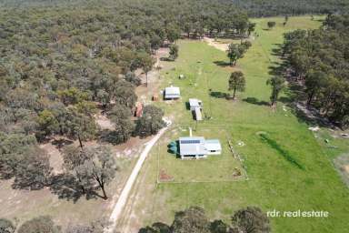 Farm For Sale - NSW - Inverell - 2360 - IRON RIDGE  (Image 2)