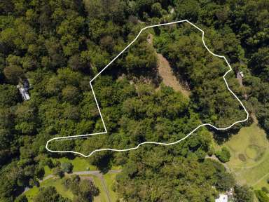 Farm For Sale - NSW - Lillian Rock - 2480 - The Rainforest Retreat of Your Dreams  (Image 2)