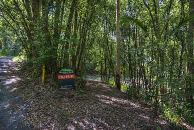 Farm For Sale - NSW - Lillian Rock - 2480 - The Rainforest Retreat of Your Dreams  (Image 2)