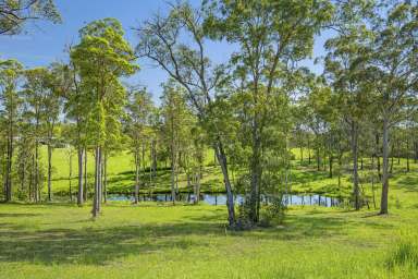 Farm For Sale - NSW - Frederickton - 2440 - 2.76 Acres Amidst Nature-Building Entitlement-Tightly Held Location  (Image 2)