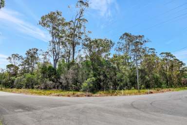 Farm For Sale - QLD - Booral - 4655 - Here's a Great Small Acreage Opportunity  (Image 2)