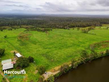 Farm For Sale - NSW - Nabiac - 2312 - Serenity Awaits - A Rare Opportunity  (Image 2)