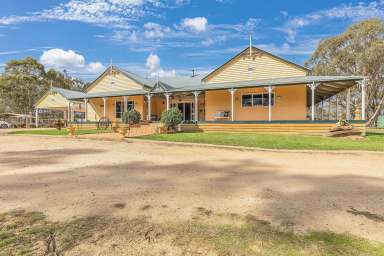 Farm For Sale - VIC - Moormbool West - 3523 - A Self-Sufficient Lifestyle Awaits: 50 Acres with Two Family Homes  (Image 2)