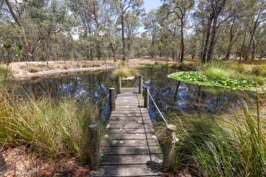 Farm For Sale - VIC - Heyfield - 3858 - Home Among The Gum Trees & Completely Off-Grid  (Image 2)