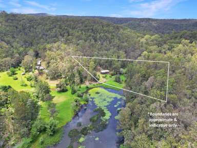 Farm For Sale - NSW - Murrays Run - 2325 - Rare Acreage with a Water View!  (Image 2)