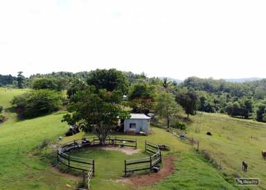 Farm For Sale - QLD - Utchee Creek - 4871 - RURAL HAVEN WITH STUNNING VIEWS  (Image 2)