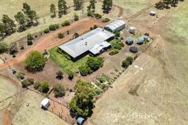 Farm For Sale - WA - Throssell - 6401 - "The Perfect Rural Package"  (Image 2)