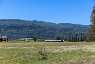 Farm For Sale - NSW - Tapitallee - 2540 - 41 Sugar Glider Drive, Tapitallee  (Image 2)