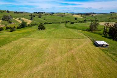 Farm For Sale - TAS - West Scottsdale - 7260 - "Rockview" - Highly Productive Parcel in Tasmania's North East  (Image 2)