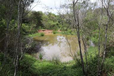 Farm For Sale - QLD - North Deep Creek - 4570 - YOUR OWN VALLEY  (Image 2)