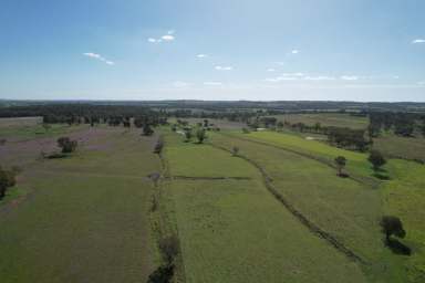 Farm For Sale - QLD - Quinalow - 4403 - Idyllic Lifestyle Property  (Image 2)