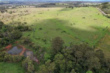 Farm For Sale - QLD - Pechey - 4352 - Pechey - Grazing Acreage  (Image 2)