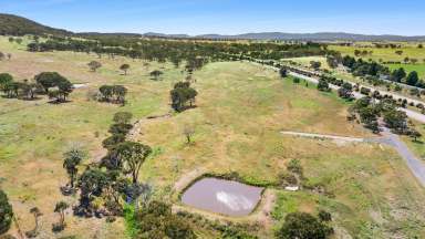 Farm For Sale - NSW - Goulburn - 2580 - Your Perfect Rural Retreat with town convenience  (Image 2)