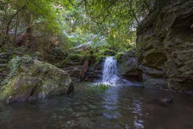 Farm For Sale - NSW - Kangaroo Valley - 2577 - Extraordinary 150 Acres of Heart Stopping Views, Fresh Air & Privacy  (Image 2)