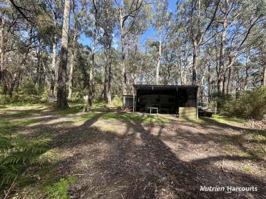 Farm For Sale - VIC - Binginwarri - 3966 - Secluded Bush Camp Block  (Image 2)