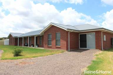 Farm For Sale - NSW - Grenfell - 2810 - Luxury and Comfort  (Image 2)