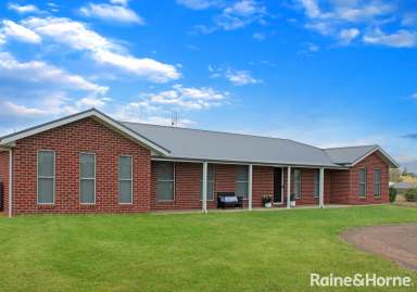 Farm For Sale - NSW - Grenfell - 2810 - LUXURY & RECREATIONAL SPACE  (Image 2)