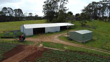 Farm For Sale - TAS - Boat Harbour - 7321 - Rare Opporunity  (Image 2)