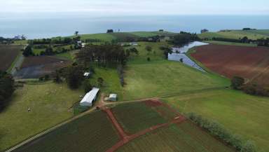 Farm For Sale - TAS - Boat Harbour - 7321 - Rare Opporunity  (Image 2)