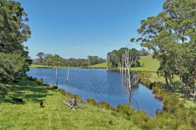 Farm For Sale - VIC - Jarrahmond - 3888 - "Bushbank" - For Sale by Expressions of Interest  (Image 2)