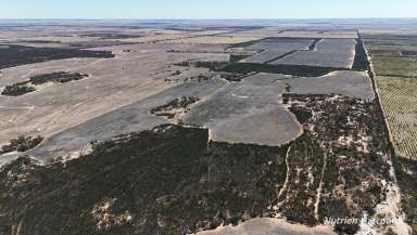 Farm For Sale - WA - North Bodallin - 6424 - BARGAIN BUYING RURAL FARMLAND  (Image 2)