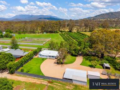 Farm For Sale - VIC - Gapsted - 3737 - Alpine Serenity & Stunning Transformation on almost 18 Acres  (Image 2)