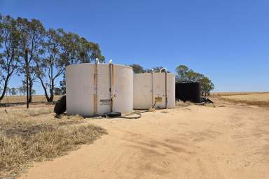 Farm For Sale - WA - Narembeen - 6369 - FOR LEASE 
5383 HA (13,302 AC) approximately  (Image 2)