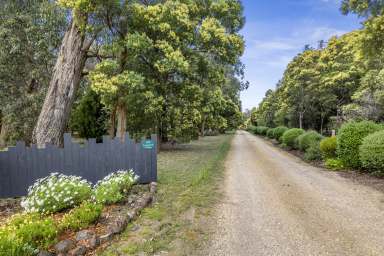 Farm For Sale - VIC - Winchelsea South - 3241 - Multi-Award Winning Tourism Business & Property in the Heart of Nature  (Image 2)