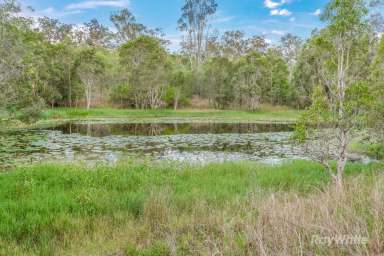 Farm For Sale - QLD - Mungy - 4671 - "Lot 2, Monto Mount Perry Road, Mungy"  (Image 2)