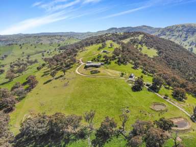 Farm For Sale - NSW - Tumut - 2720 - "Kings Hill"  (Image 2)