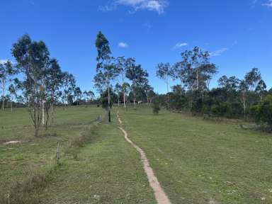 Farm For Sale - QLD - Lowmead - 4676 - Expansive Rural Retreat with Exciting Potential  (Image 2)