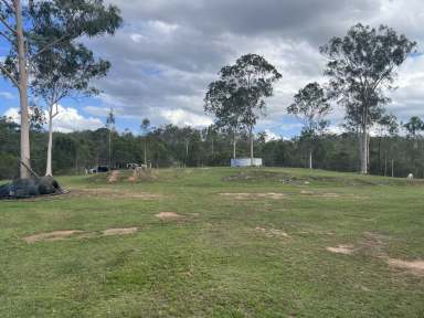 Farm For Sale - QLD - Lowmead - 4676 - 1000 Acres of Opportunity in Lowmead  (Image 2)