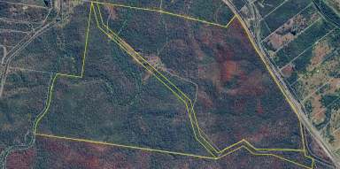 Farm For Sale - QLD - Lowmead - 4676 - 1000 Acres of Opportunity in Lowmead  (Image 2)