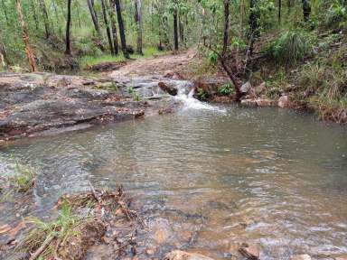 Farm For Sale - QLD - Lowmead - 4676 - Expansive Rural Retreat with Exciting Potential  (Image 2)