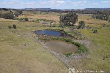 Farm For Sale - VIC - Wooragee - 3747 - Magpie Lane - 150 acres  (Image 2)