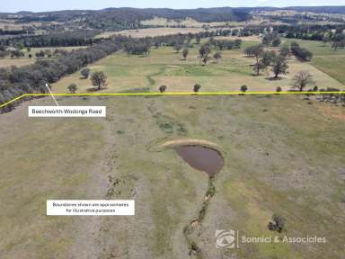 Farm For Sale - VIC - Wooragee - 3747 - Magpie Lane - 150 acres  (Image 2)