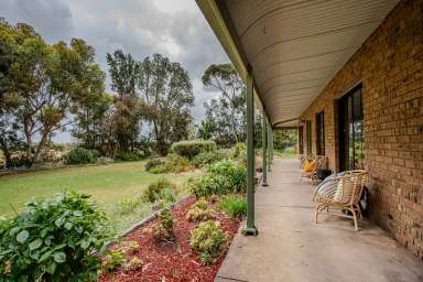 Farm For Sale - SA - Naracoorte - 5271 - An idyllic lifestyle property with the perfect blend of rural serenity and urban convenience  (Image 2)