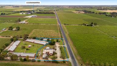 Farm For Sale - SA - Coonawarra - 5263 - Versatile Opportunity in the Heart of Coonawarra  (Image 2)