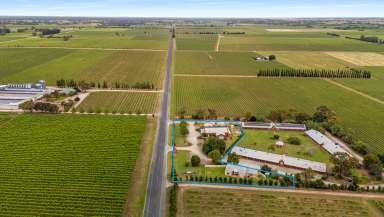 Farm For Sale - SA - Coonawarra - 5263 - Versatile Opportunity in the Heart of Coonawarra  (Image 2)