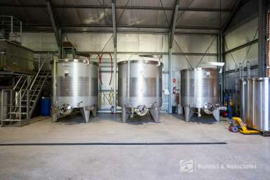 Farm For Sale - VIC - Wooragee - 3747 - STAR LANE WINERY  (Image 2)