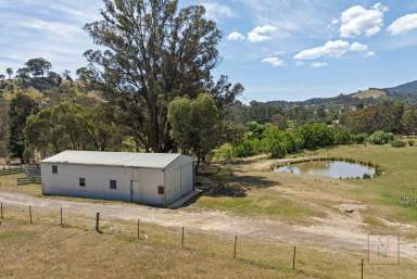 Farm For Sale - VIC - Bonnie Doon - 3720 - 'Dalhaven' - 688 Acres in Bonnie Doon  (Image 2)