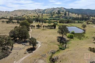 Farm For Sale - VIC - Bonnie Doon - 3720 - 'Dalhaven' - 688 Acres in Bonnie Doon  (Image 2)