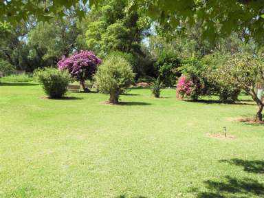 Farm For Sale - NSW - Warren - 2824 - 'Ah-Jay'  Macquarie River Farmlet  (Image 2)